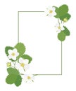 Rectangular frame with strawberry white flowers and green leaves